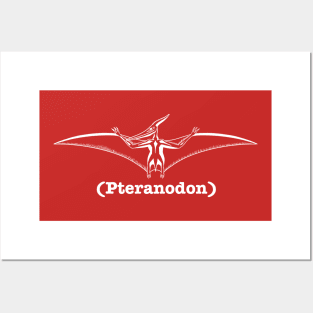 Pteranodon Posters and Art